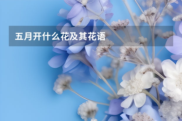 五月开什么花及其花语