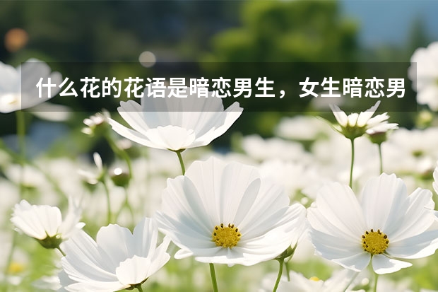 什么花的花语是暗恋男生，女生暗恋男生的花语