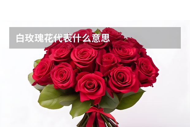 白玫瑰花代表什么意思