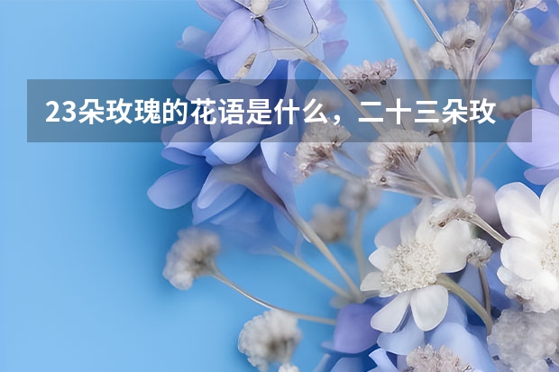 23朵玫瑰的花语是什么，二十三朵玫瑰的含义