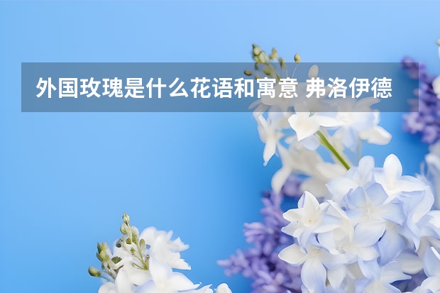 外国玫瑰是什么花语和寓意 弗洛伊德玫瑰花语和寓意