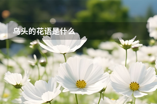 乌头的花语是什么