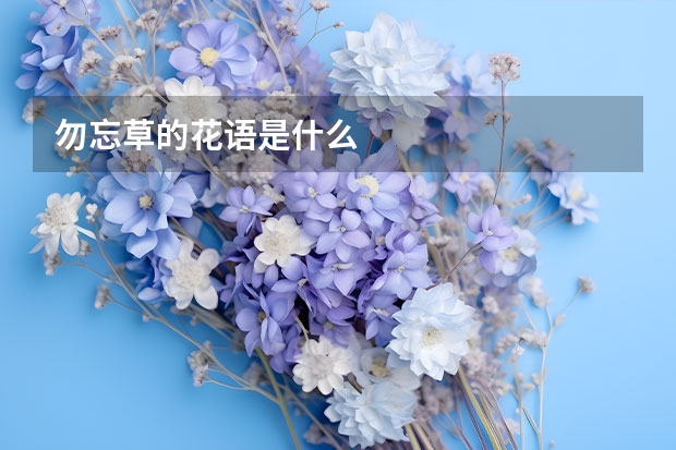 勿忘草的花语是什么