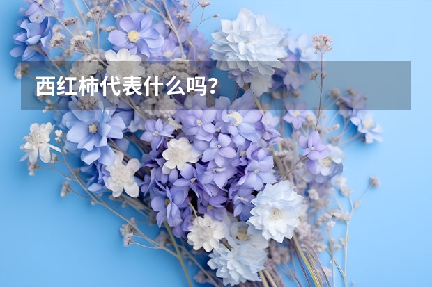 西红柿代表什么吗？