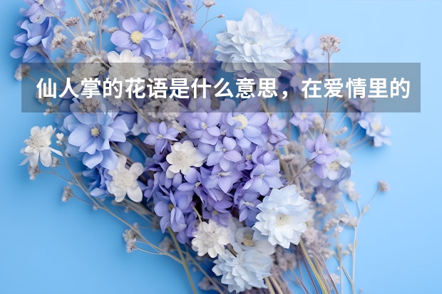 仙人掌的花语是什么意思，在爱情里的寓意