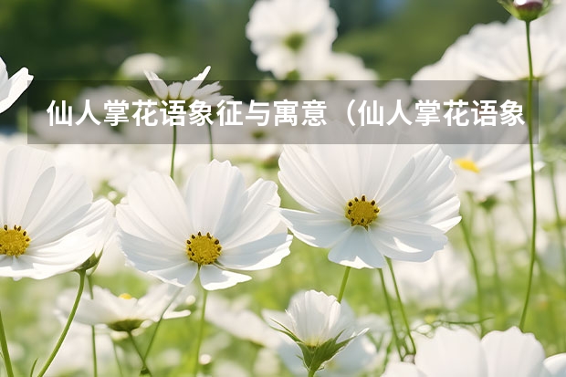 仙人掌花语象征与寓意（仙人掌花语象征与寓意）