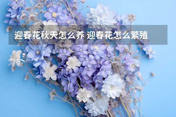 迎春花秋天怎么养 迎春花怎么繁殖