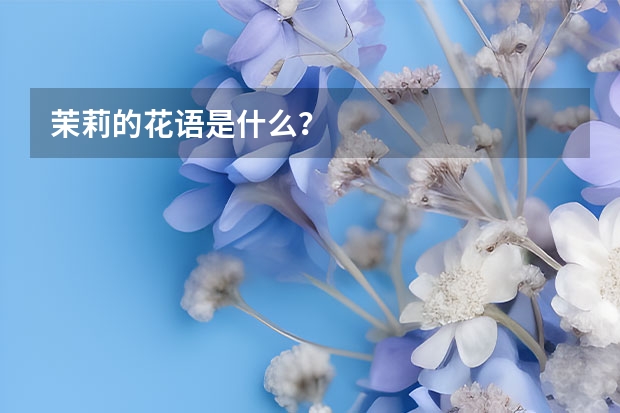 茉莉的花语是什么？