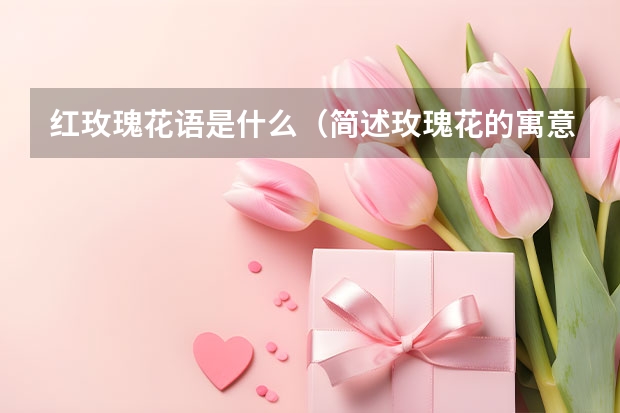 红玫瑰花语是什么（简述玫瑰花的寓意和象征）