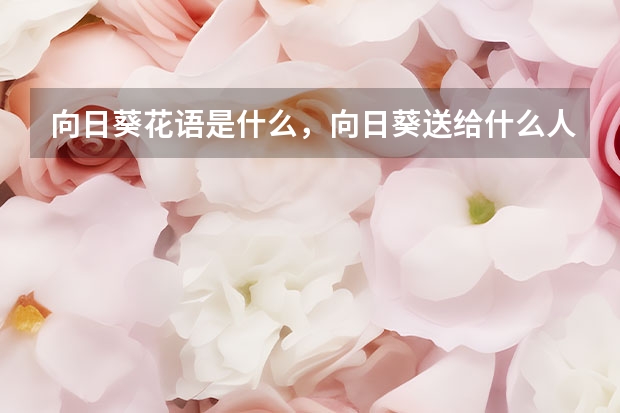 向日葵花语是什么，向日葵送给什么人