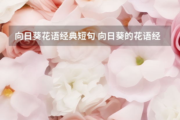 向日葵花语经典短句 向日葵的花语经典短句