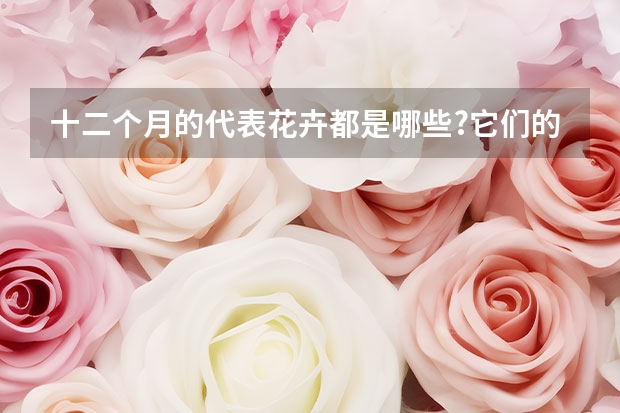 十二个月的代表花卉都是哪些?它们的花语是什么?