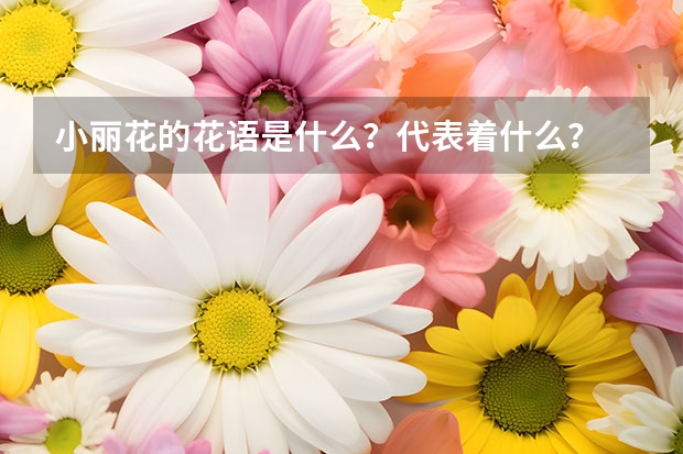 小丽花的花语是什么？代表着什么？