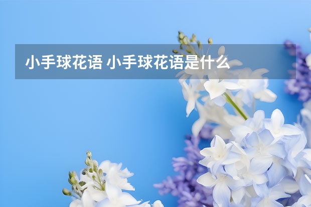 小手球花语 小手球花语是什么