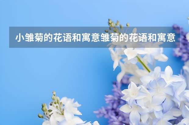 小雏菊的花语和寓意雏菊的花语和寓意是什么