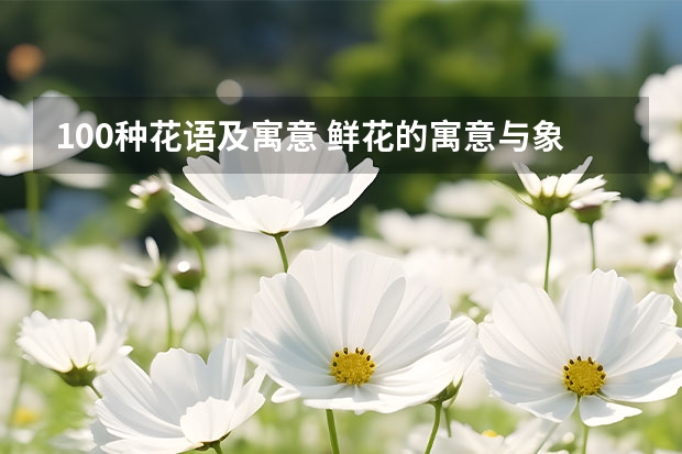 100种花语及寓意 鲜花的寓意与象征