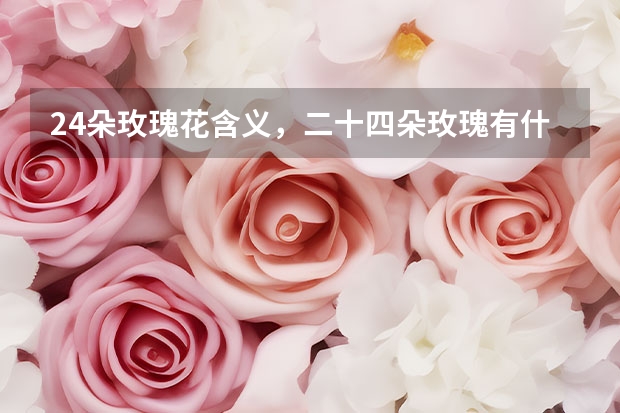 24朵玫瑰花含义，二十四朵玫瑰有什么意思