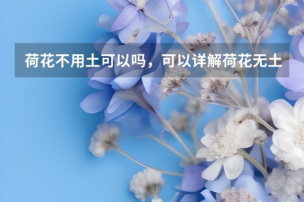 荷花不用土可以吗，可以/详解荷花无土栽培的方法