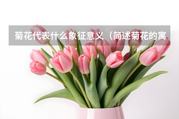 菊花代表什么象征意义（简述菊花的寓意及花语）