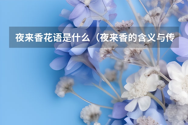 夜来香花语是什么（夜来香的含义与传说）