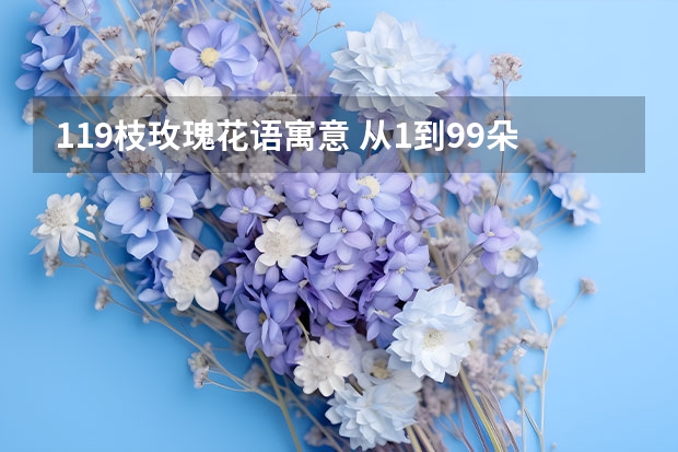 119枝玫瑰花语寓意 从1到99朵玫瑰花代表什么意思