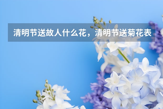 清明节送故人什么花，清明节送菊花表达什么寓意