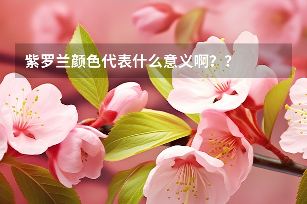 紫罗兰颜色代表什么意义啊？？