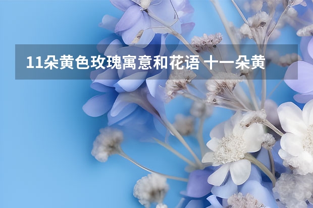 11朵黄色玫瑰寓意和花语 十一朵黄玫瑰花的花语是什么意思(11朵黄玫瑰的花语)