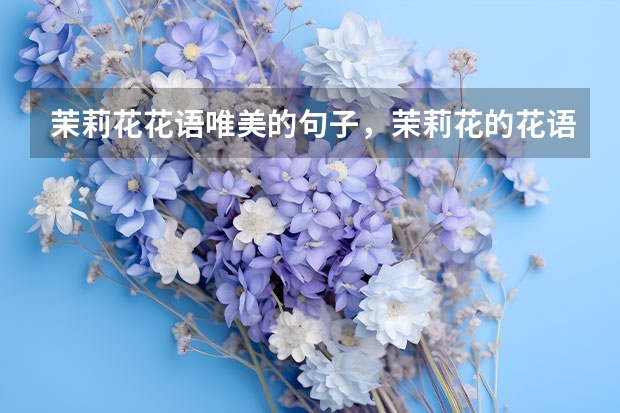 茉莉花花语唯美的句子，茉莉花的花语是什么