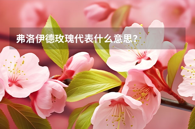 弗洛伊德玫瑰代表什么意思？