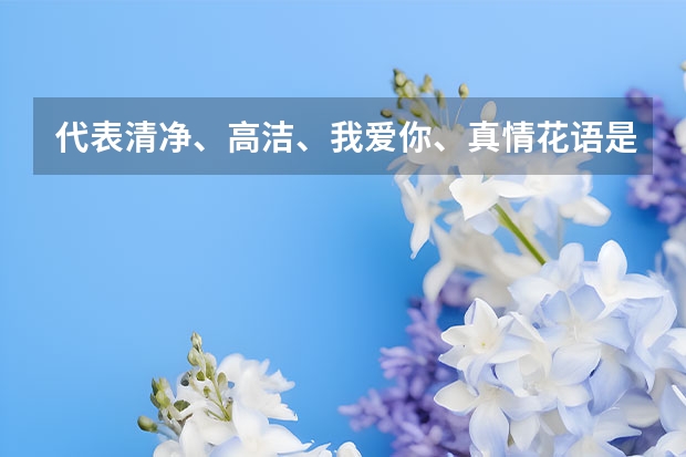 代表清净、高洁、我爱你、真情花语是什么