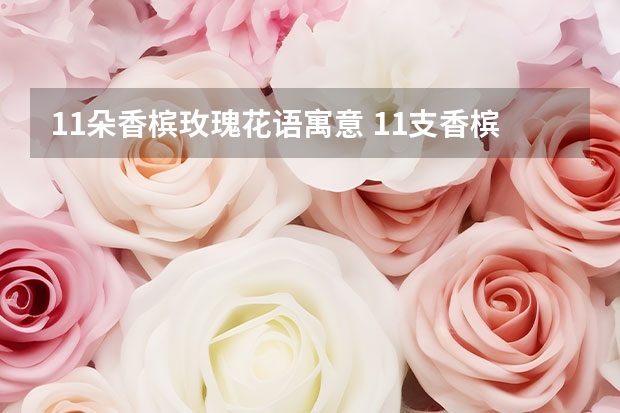 11朵香槟玫瑰花语寓意 11支香槟玫瑰花代表什么