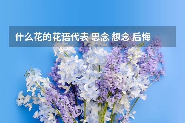 什么花的花语代表 思念 想念 后悔 来不及的爱