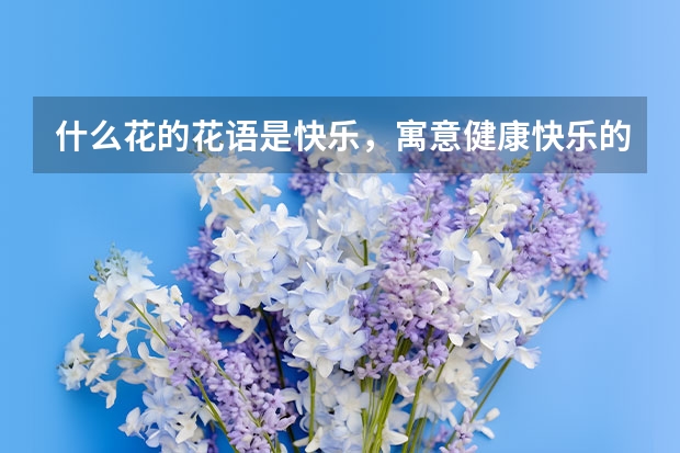 什么花的花语是快乐，寓意健康快乐的花