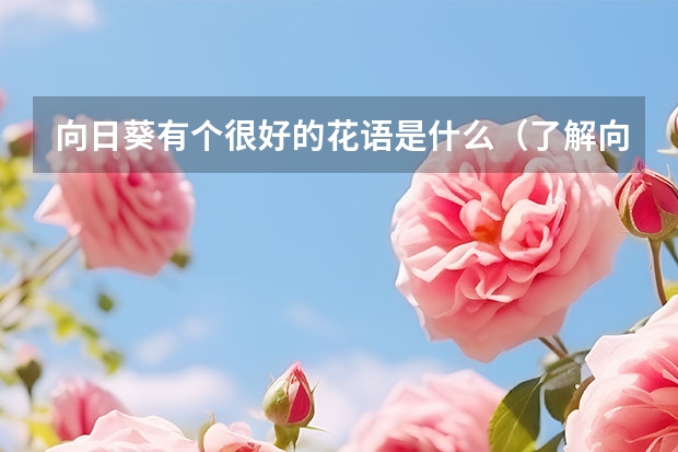 向日葵有个很好的花语是什么（了解向日葵的浪漫寓意）