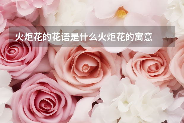 火炬花的花语是什么火炬花的寓意