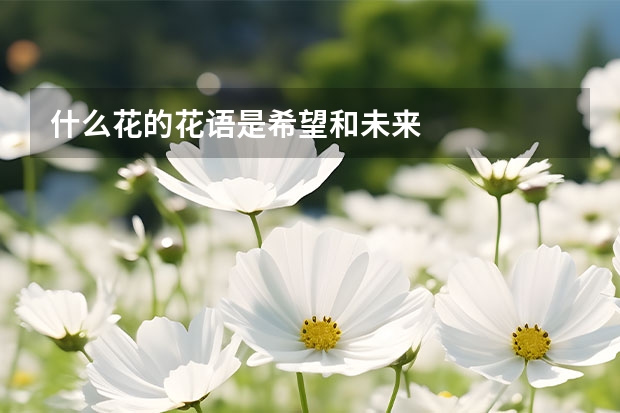 什么花的花语是希望和未来