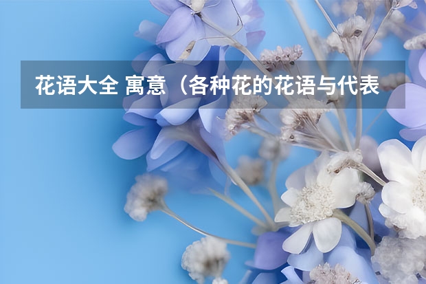 花语大全 寓意（各种花的花语与代表的寓意）