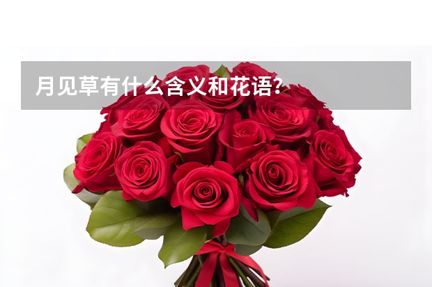 月见草有什么含义和花语？