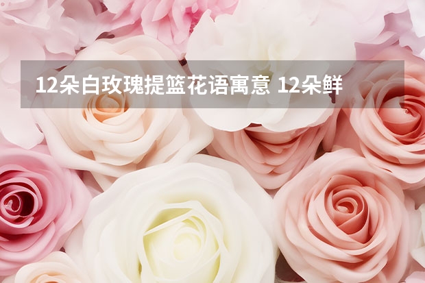 12朵白玫瑰提篮花语寓意 12朵鲜花代表什么