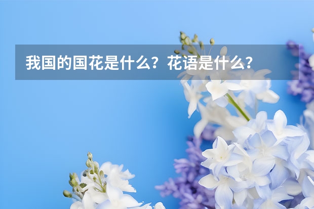 我国的国花是什么？花语是什么？