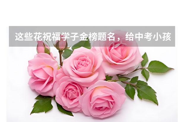 这些花祝福学子金榜题名，给中考小孩送什么花