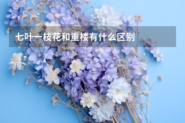 七叶一枝花和重楼有什么区别