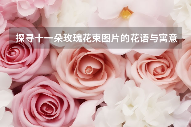 探寻十一朵玫瑰花束图片的花语与寓意 33朵玫瑰花束花语