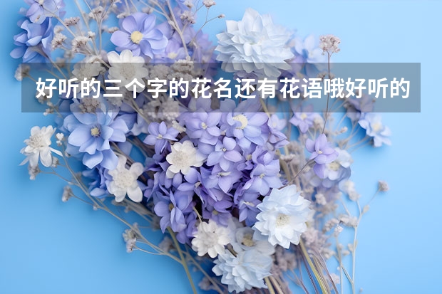 好听的三个字的花名还有花语哦好听的三个字的花名还有花语有哪些