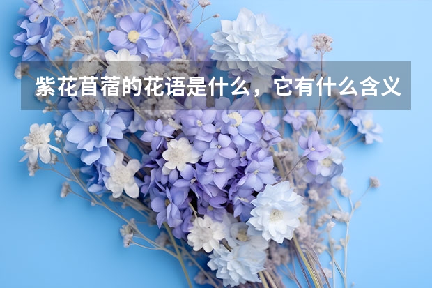 紫花苜蓿的花语是什么，它有什么含义吗？