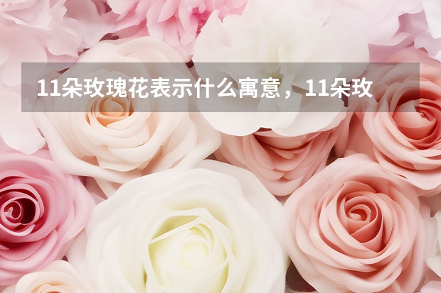 11朵玫瑰花表示什么寓意，11朵玫瑰花的花语是啥