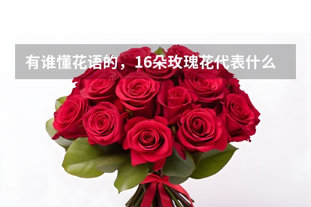 有谁懂花语的，16朵玫瑰花代表什么意思