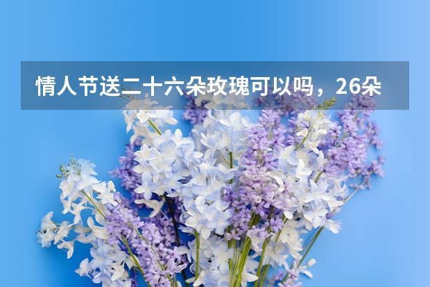 情人节送二十六朵玫瑰可以吗，26朵玫瑰有什么花语