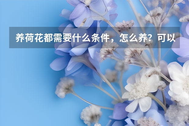 养荷花都需要什么条件，怎么养？可以同时养草鱼么？